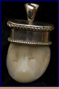 Elk Tooth Pendant