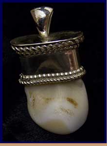 Elk Tooth Pendant
